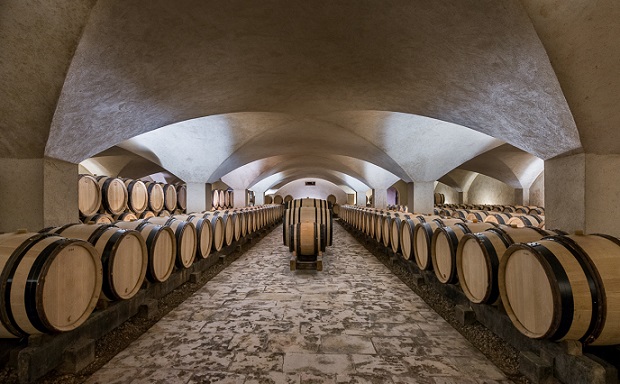 Chateau de Marsannay cellar